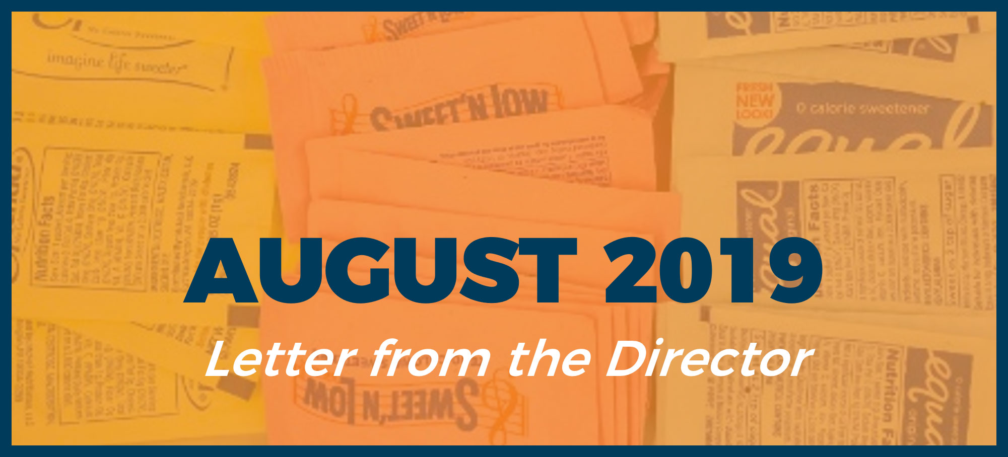 August 2019 - Letter from the Director