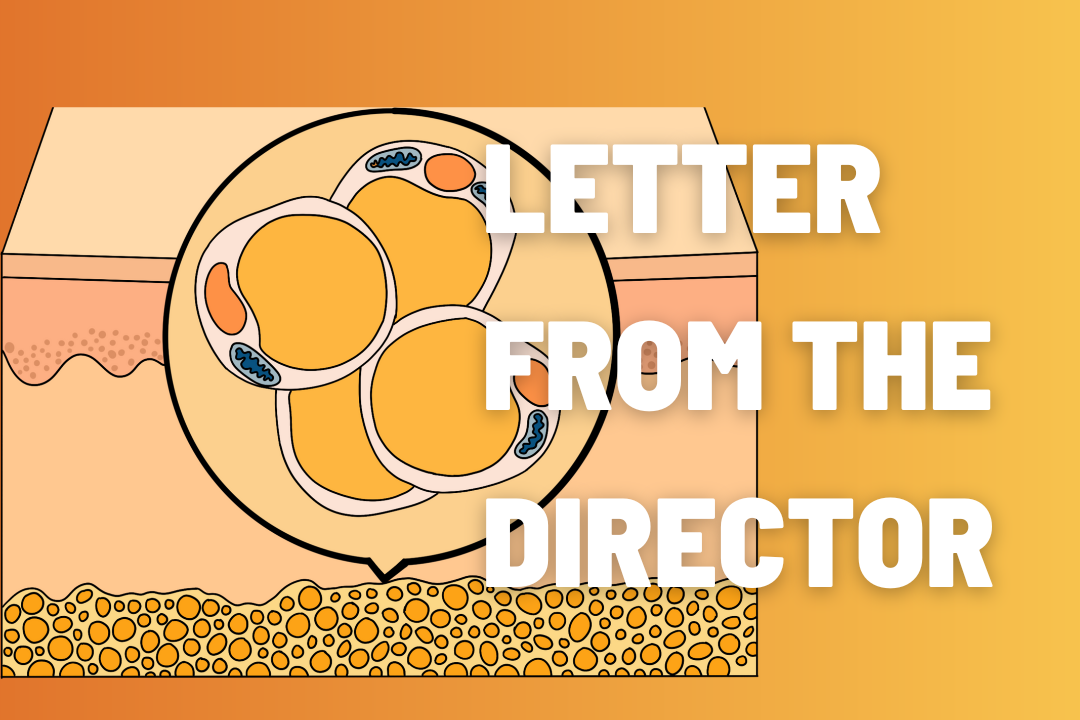Sep2025_LetterfromDirector
