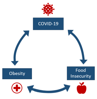 Covid-19, food insecurity and obesity in an interconnected circle