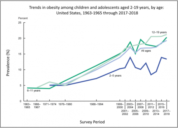 Trends in obesity among children and adolescents aged 2-19 years, by age: United States, 1963-1965 through 2017-2018