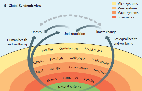 Global syndemic view