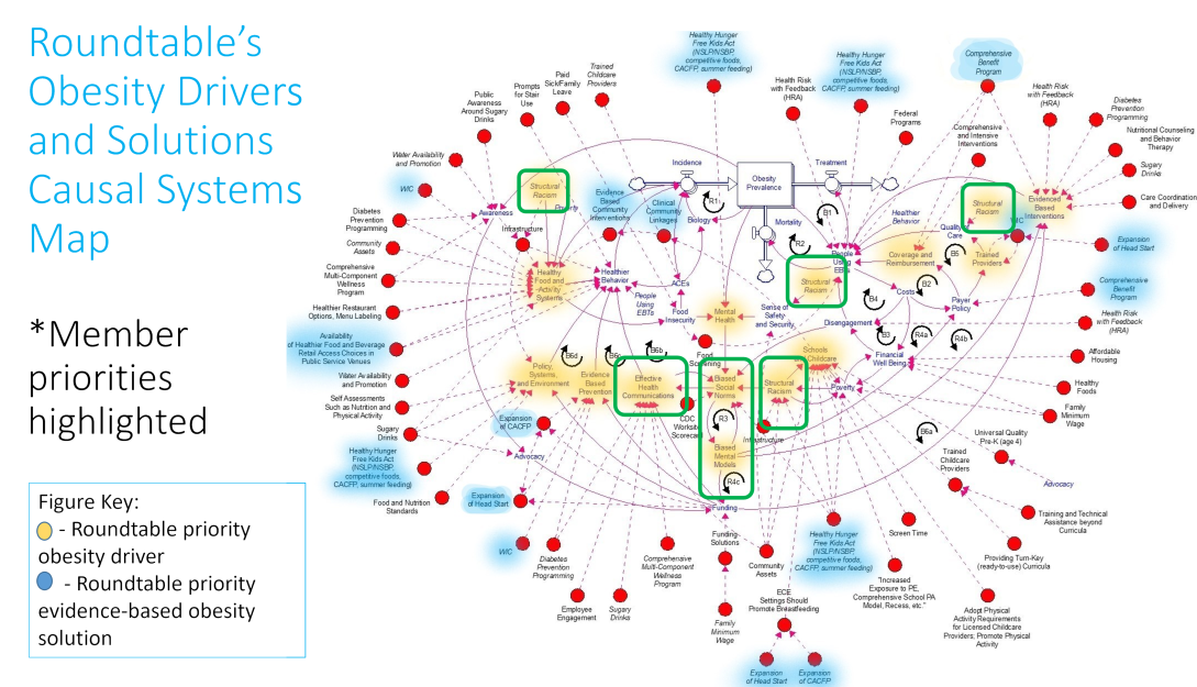 Roundtable's obesity drivers and solutions causal systems map